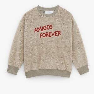 EMBROIDERED FAUX SHEARLING SWEATSHIRT